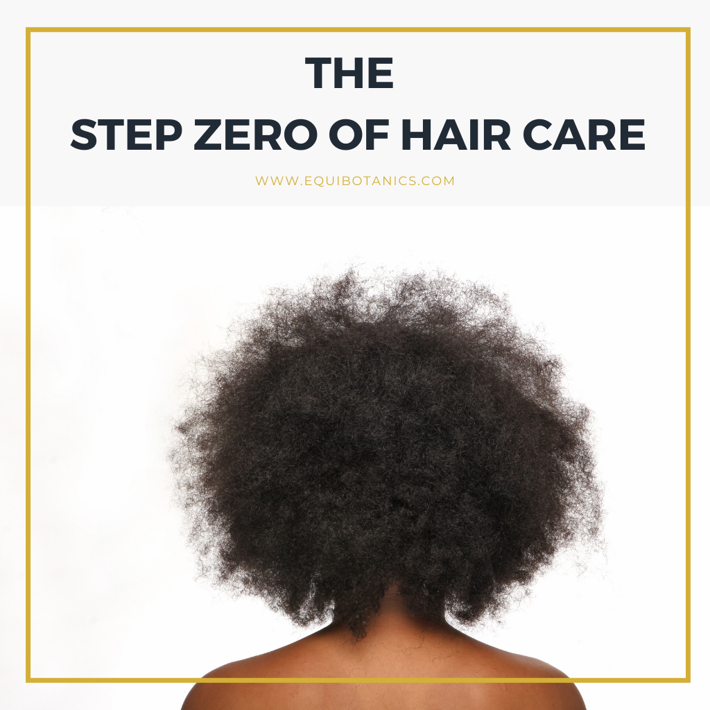 Step Zero of Hair Care